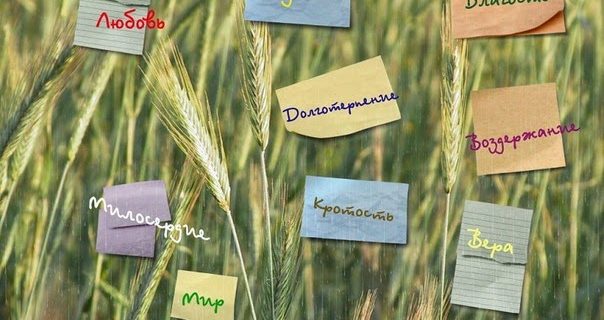Церковь, приносящая плод