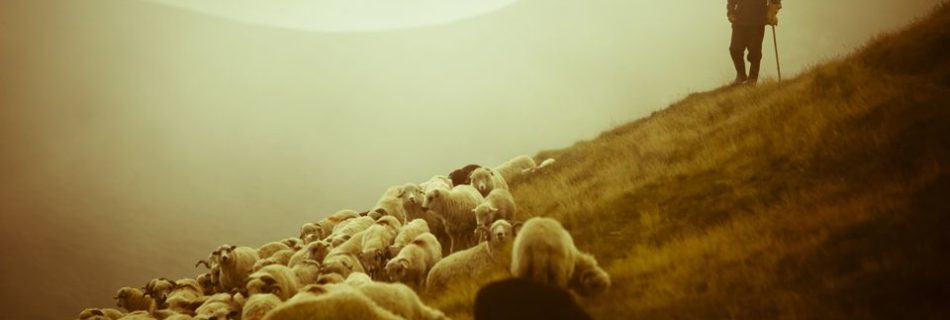Анатолій Козачок † Успіх християнина