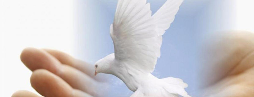 Михайло Паночко † Місія Святого Духа