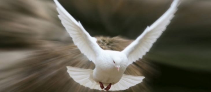 Валерій Вернер † Місія Святого Духа