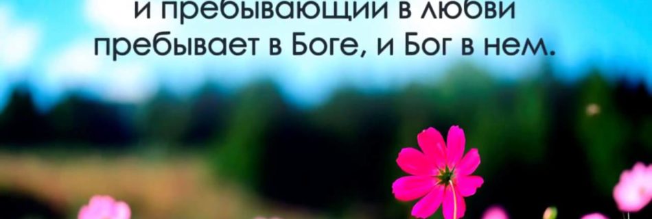 Знай врага своего!