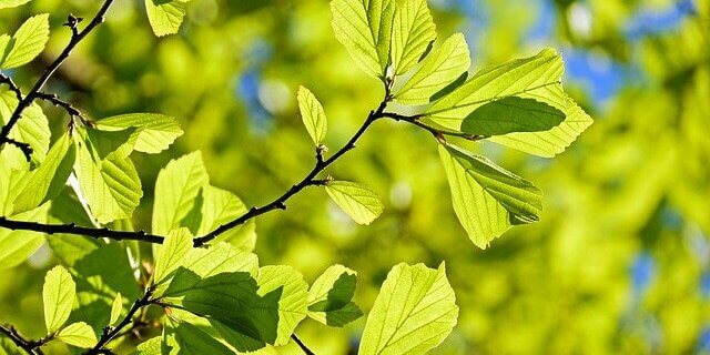 Практичні істини християнського життя