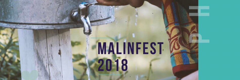 Молодіжний табір Малинфест 2018. #PhiladYouth